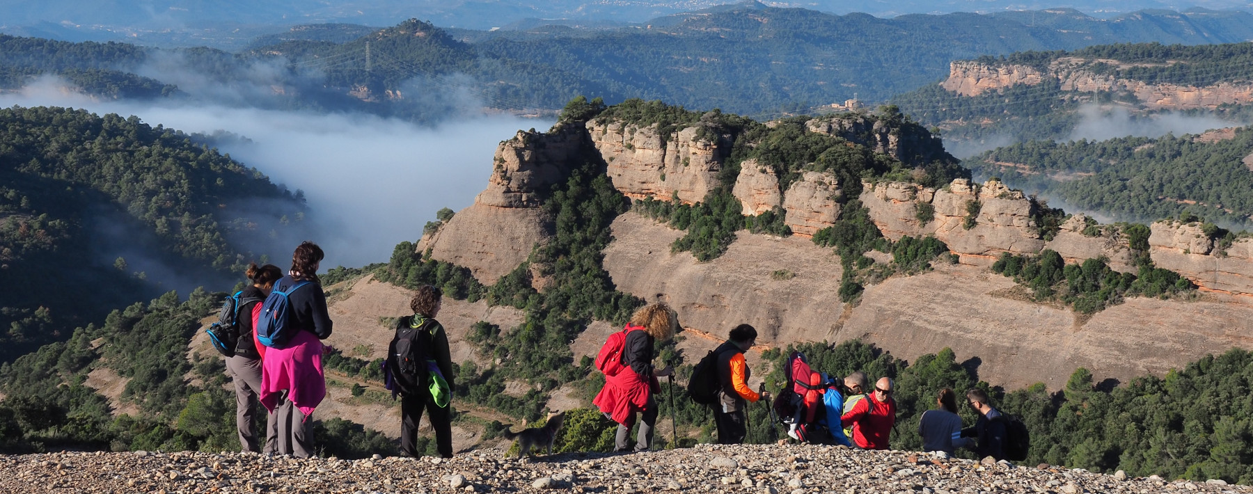 ROSSINYOL NOU - Activitats a la natura
