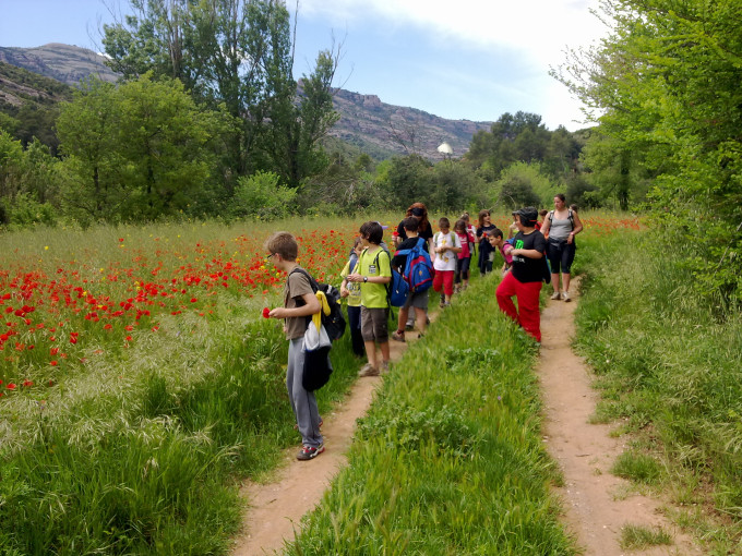 Itineraris de Descoberta