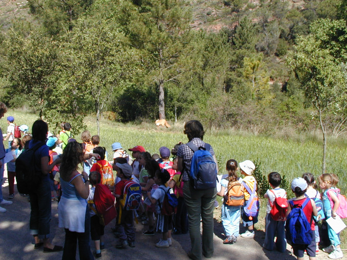 Img El Bestiari de Pere IV