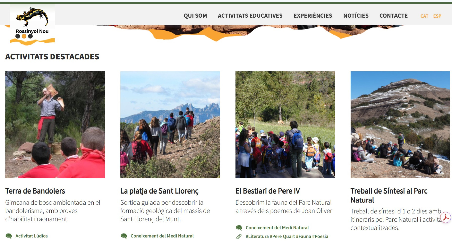Img Estrenem la nova web!